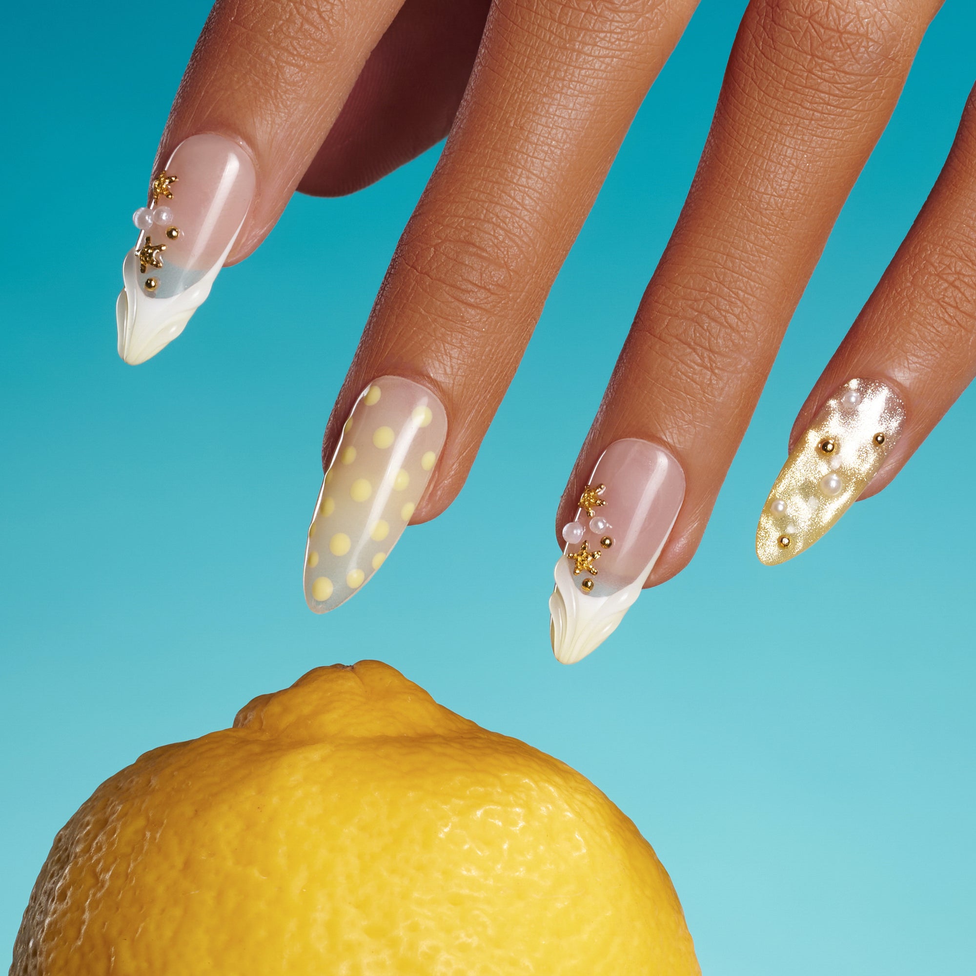 Cream Yellow Sweet Shell