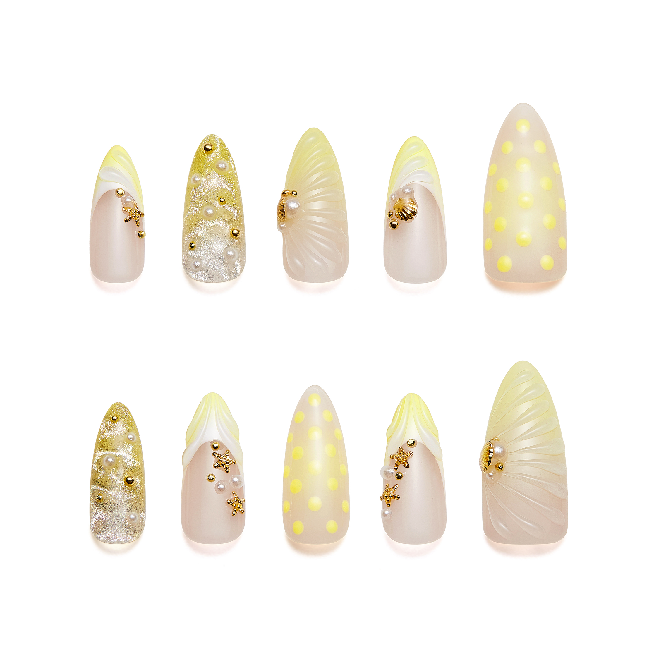 Cream Yellow Sweet Shell