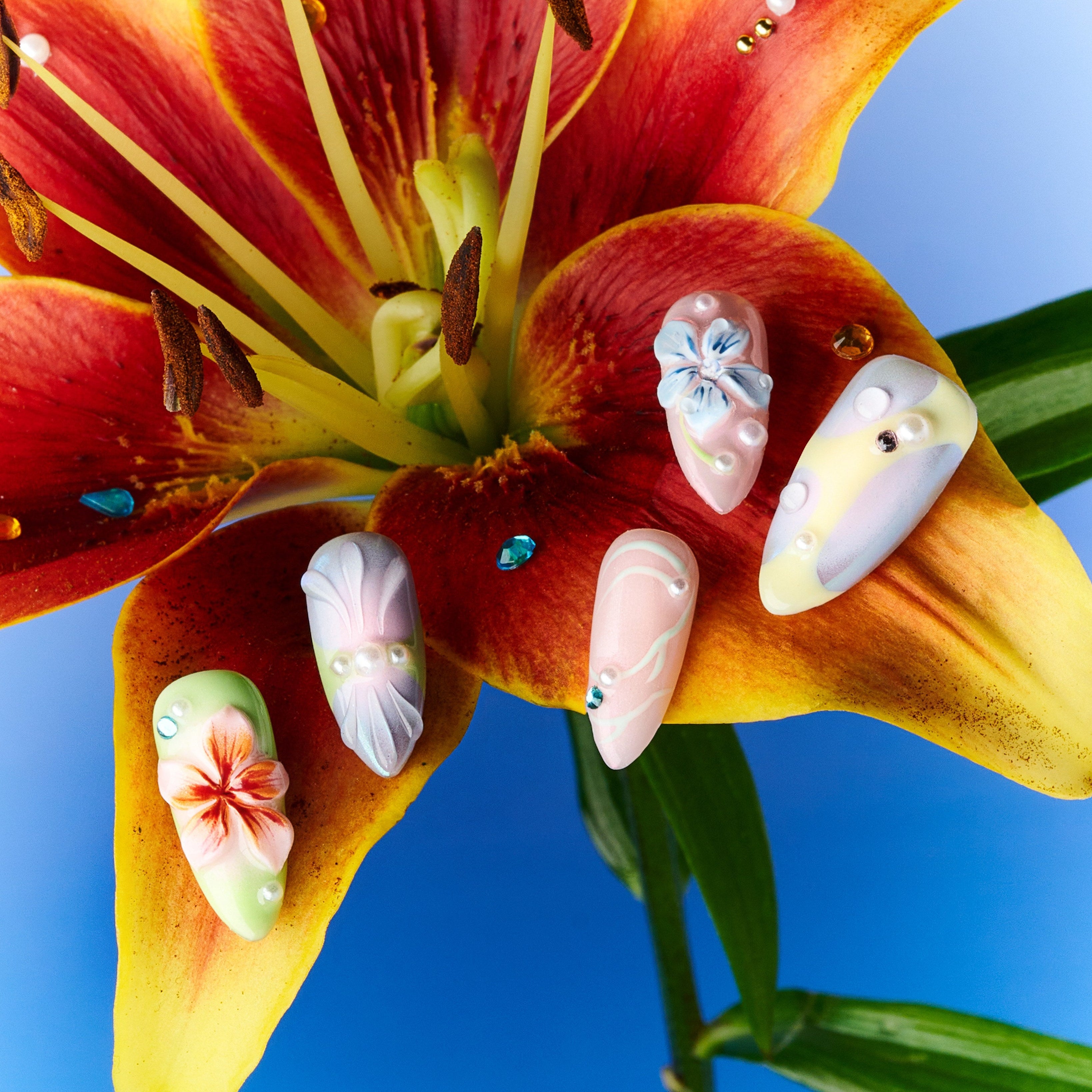 Flower Bloom Starlight