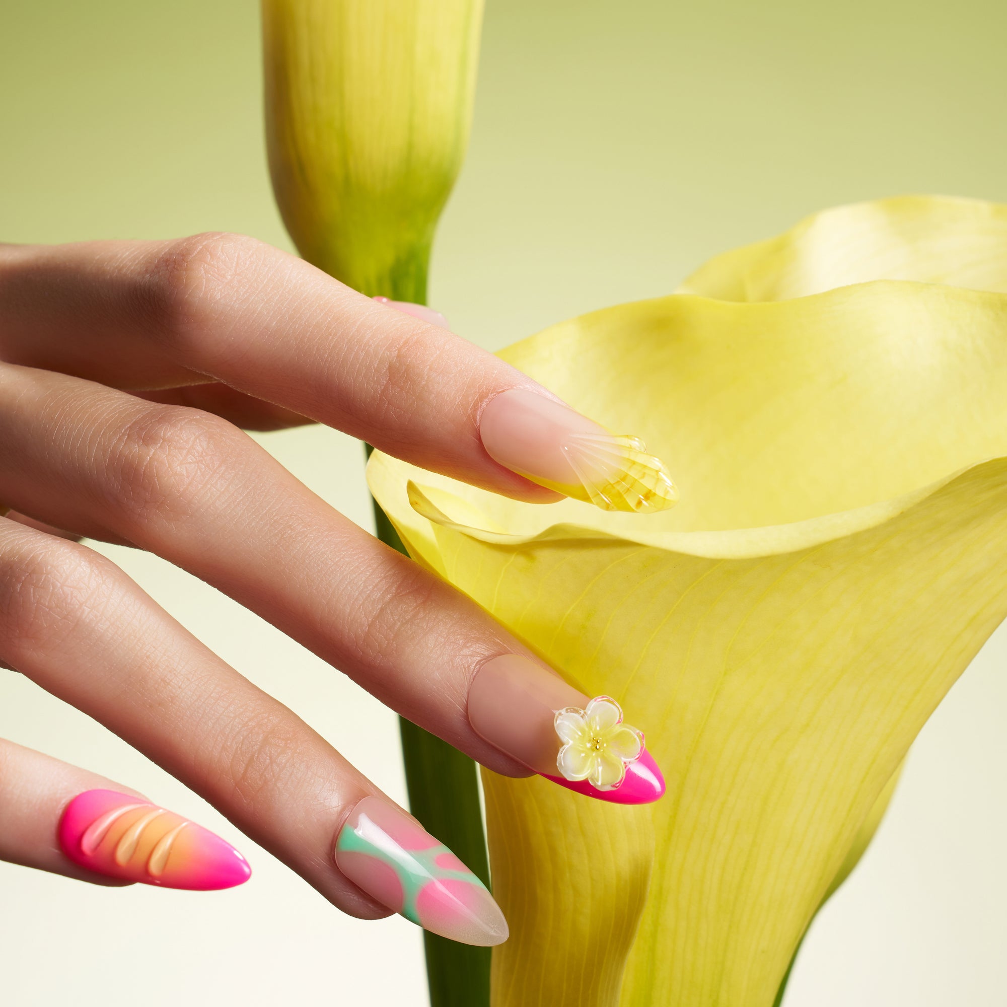 Petal Gleam