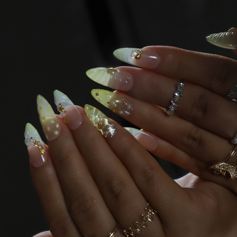 Cream Yellow Sweet Shell