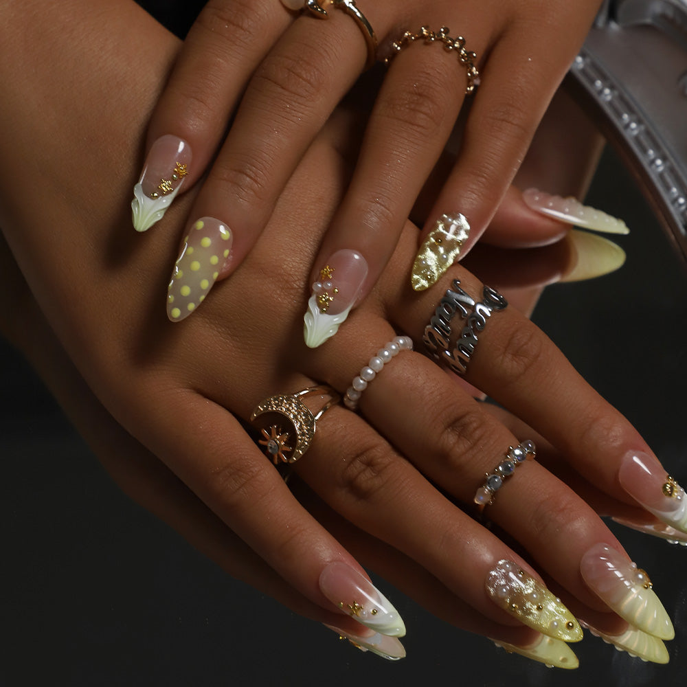 Cream Yellow Sweet Shell