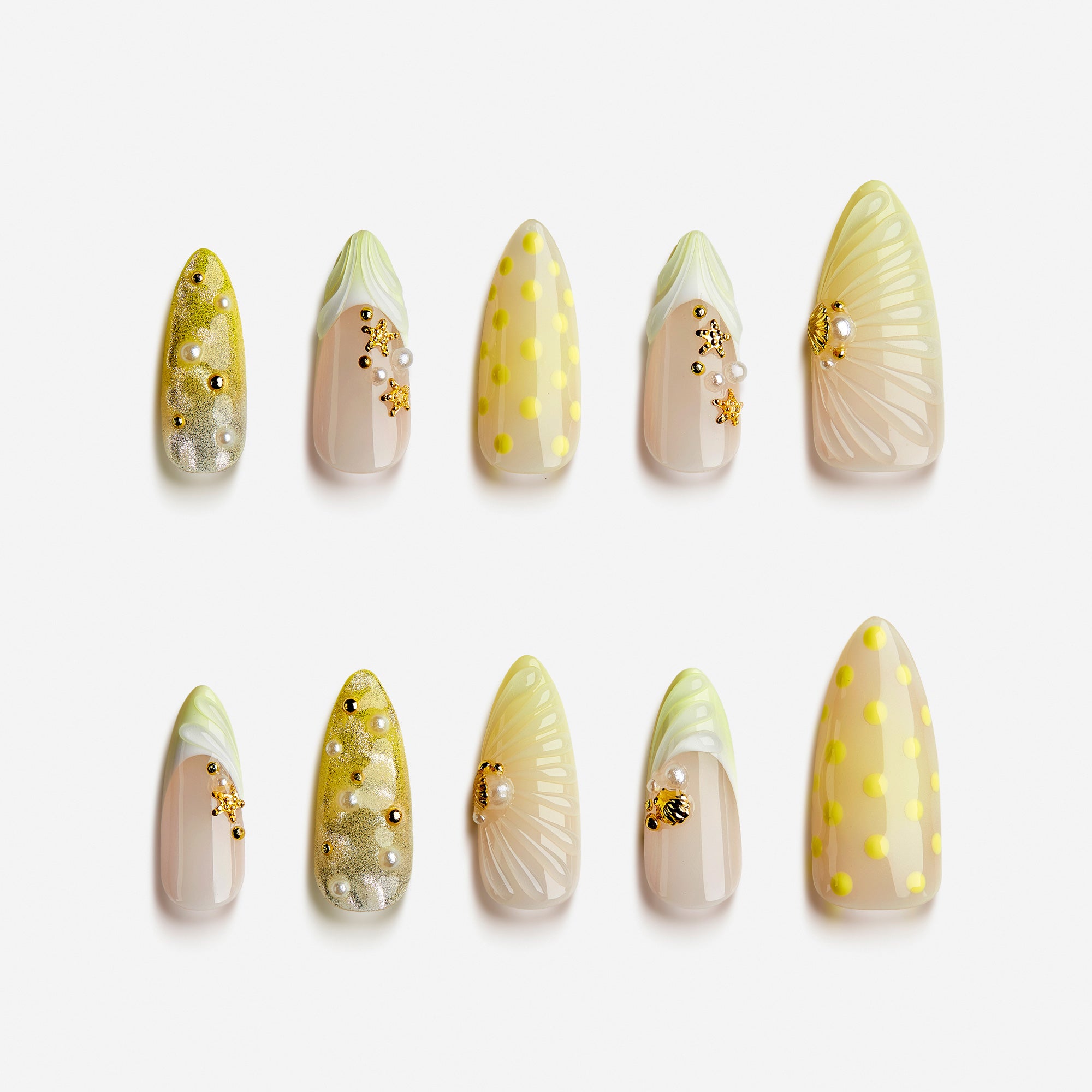 Cream Yellow Sweet Shell