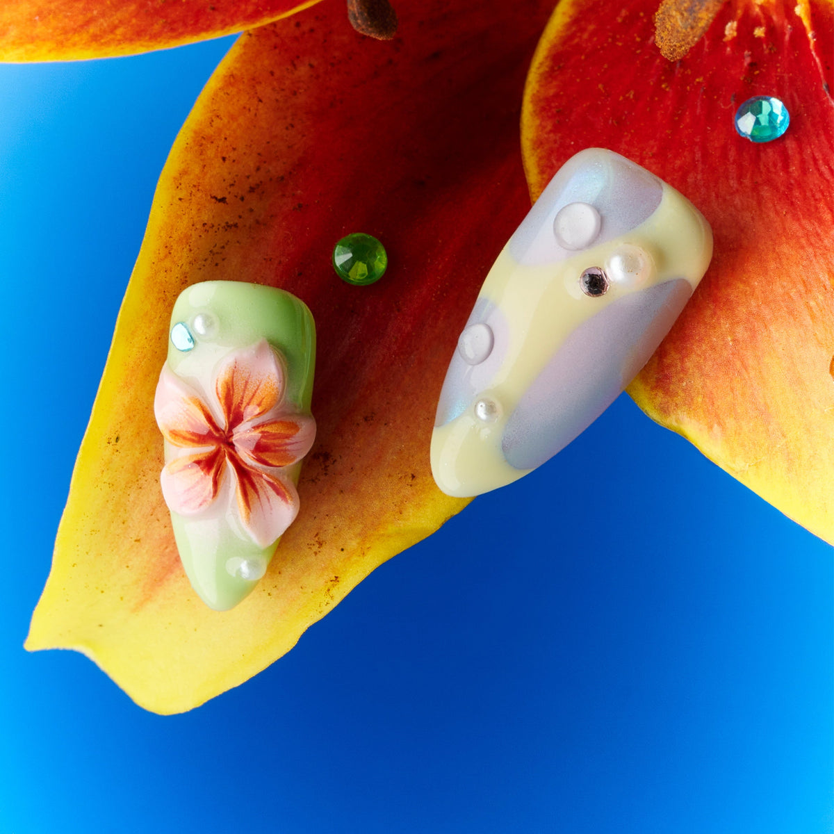 Flower Bloom Starlight