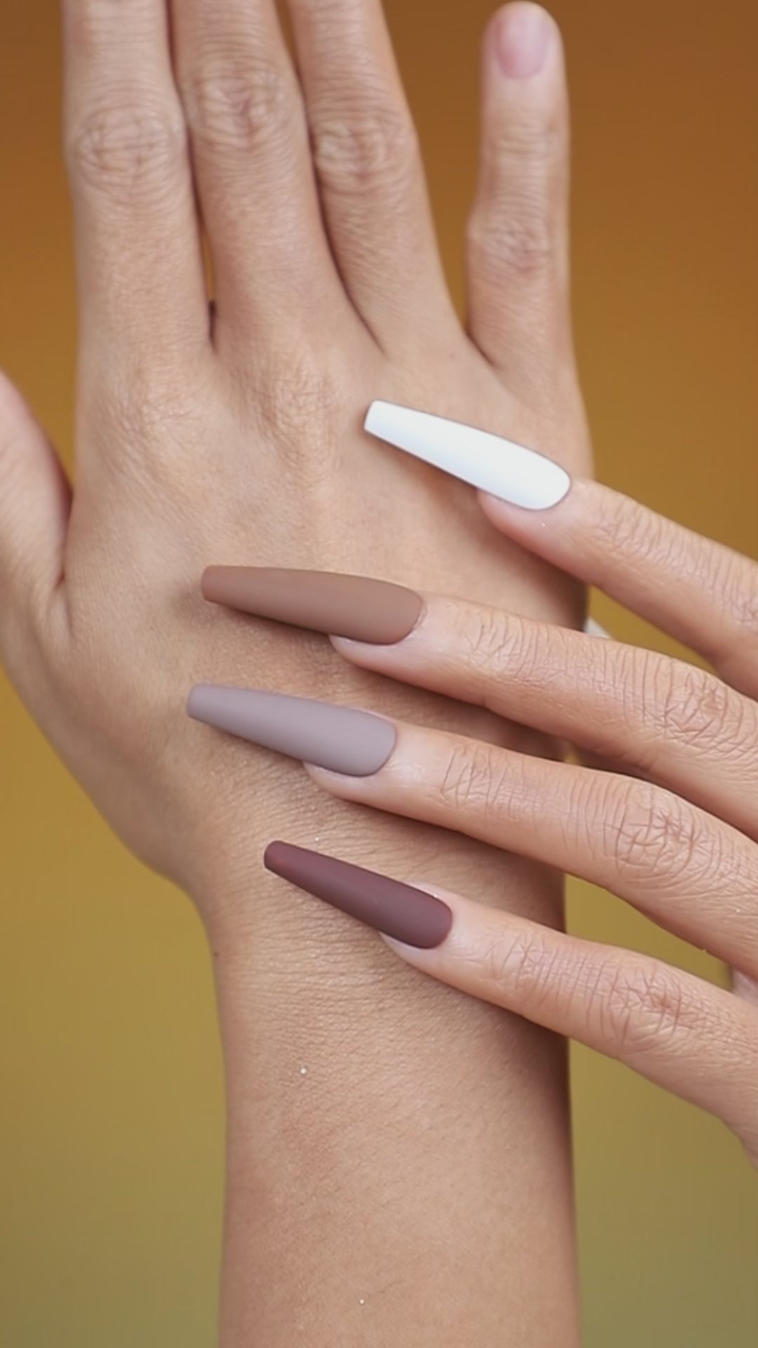 dresup brown and white simplicity matte press on nails